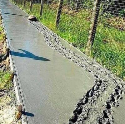 Прикрепленное изображение: 193920039_2952451128339635_2225841527550104437_n.jpg